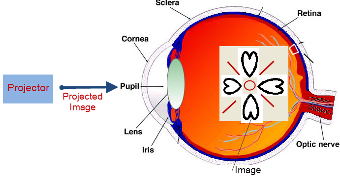 Proyección retiniana