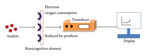 biosensor electroquímico